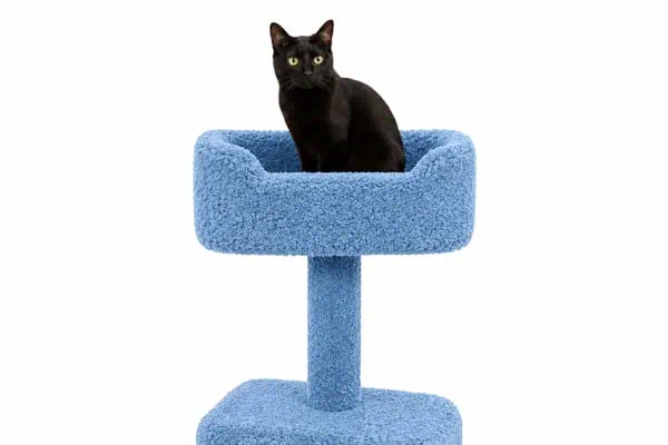 best cat trees for 1 cat