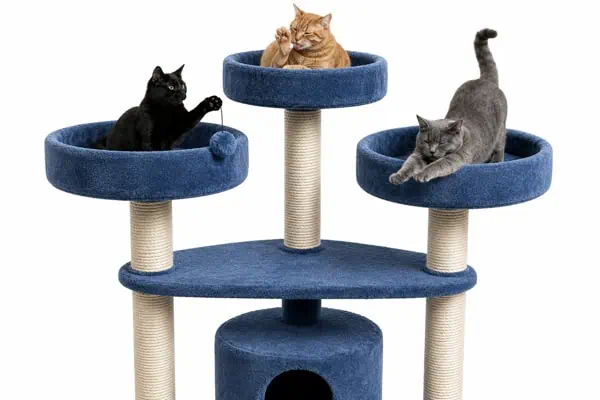 best cat trees for 3 cats