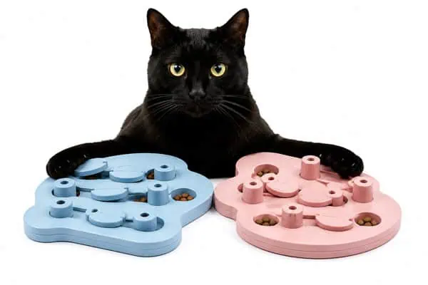 cat treat puzzles