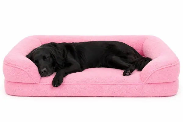 dog beds