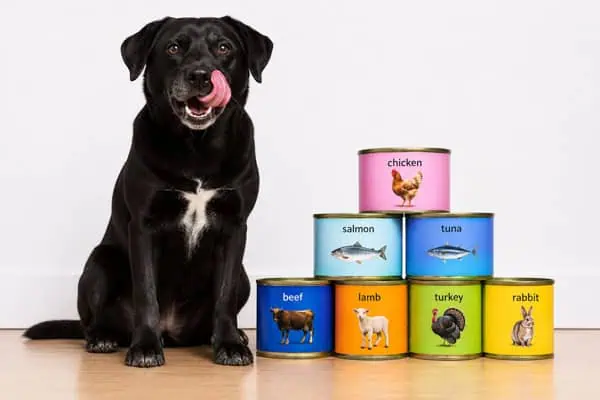 healthy dog wet food