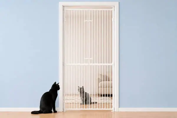 tall cat gates
