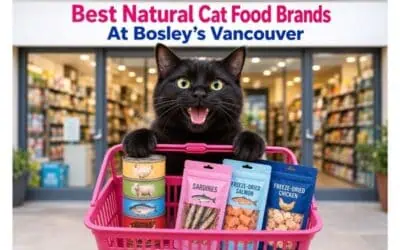 Bosley’s Vancouver: My Top-Pick Natural Cat Food Brands