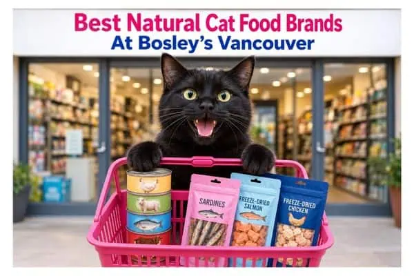 best natural cat food brands Bosleys Vancouver best natural cat food brands Bosleys Vancouver